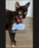 Julie