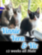 Vinne, Vern, and Vic