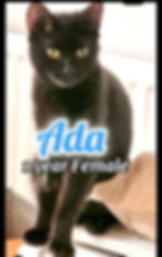 Ada