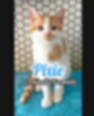 Pixie
