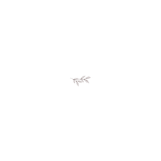 Soyeuse (4).png