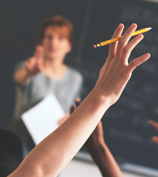 Trainer asking a question and a student raising their hand