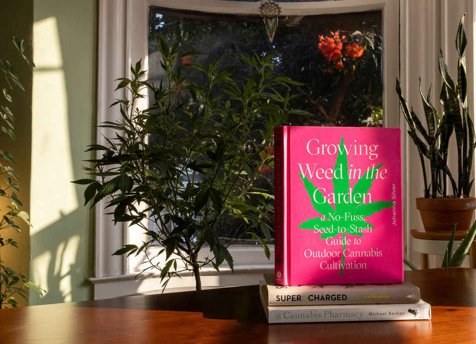 best cannabis photographer, san francisco, cannabis product photography, Black female photographer