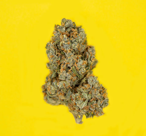 best cannabis photographer, san francisco, cannabis product photography, Black female photographer