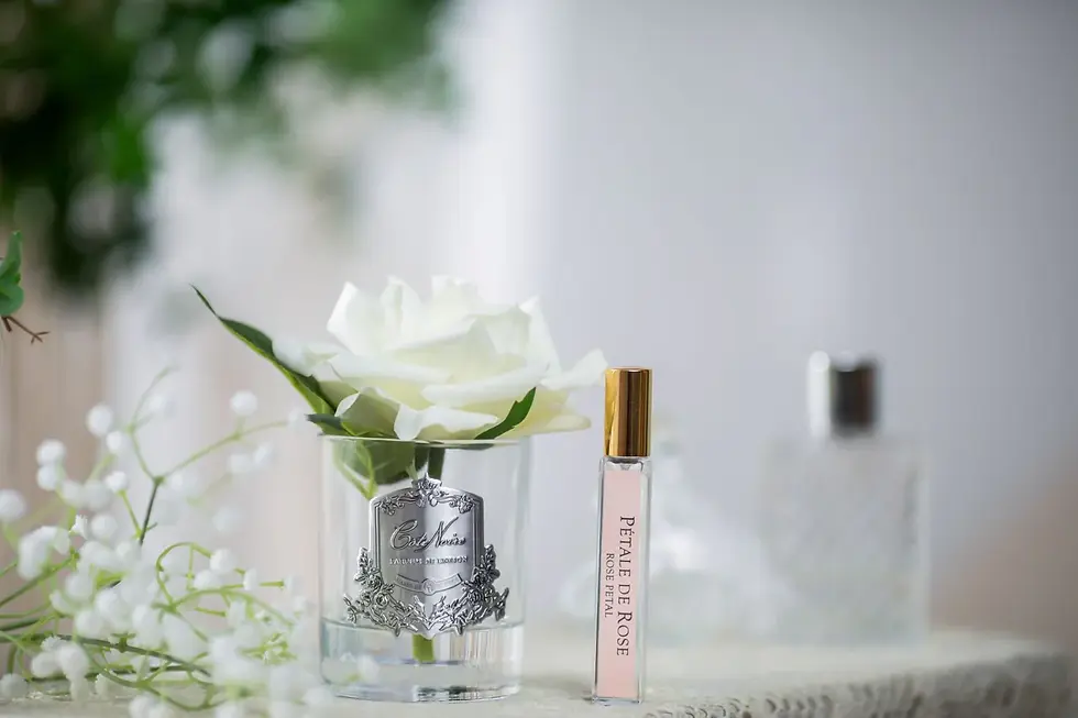 Thumbnail: CÔTE NOIRE - Single French Rose - Clear & Silver Crest - Ivory White