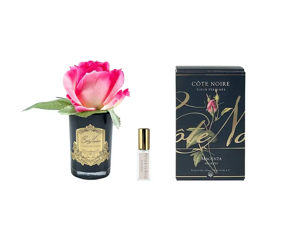 CÔTE NOIRE - Single Rose Bud - Black & Gold Crest - Magenta