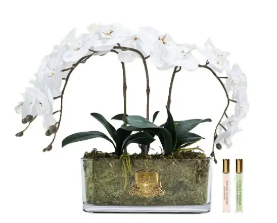 Thumbnail: CÔTE NOIRE - OVAL ORCHIDS - WHITE & GOLD BADGE