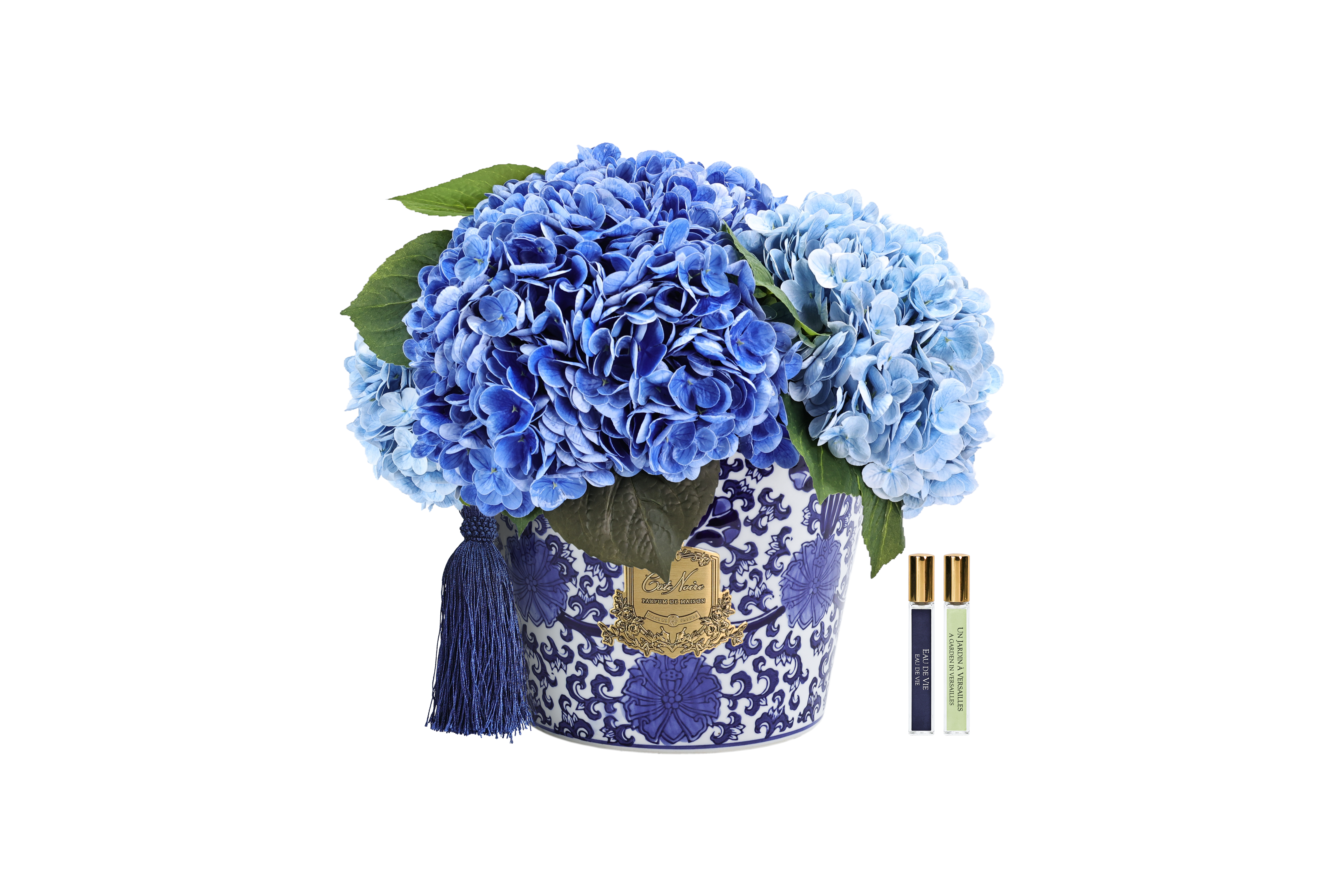 CÔTE NOIRE - Oriental Hydrangea - Blue