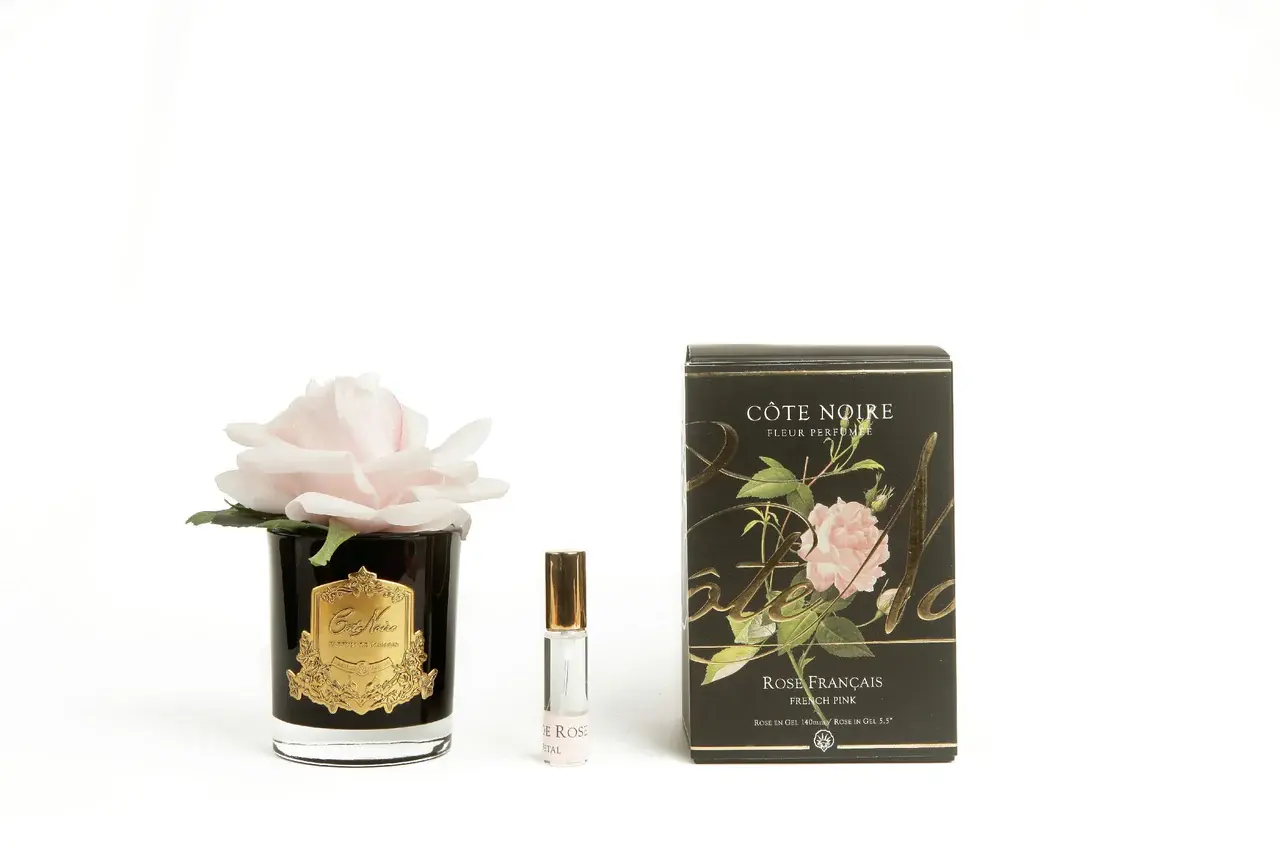 CÔTE NOIRE - Single French Rose - Black & Gold Crest - French Pink