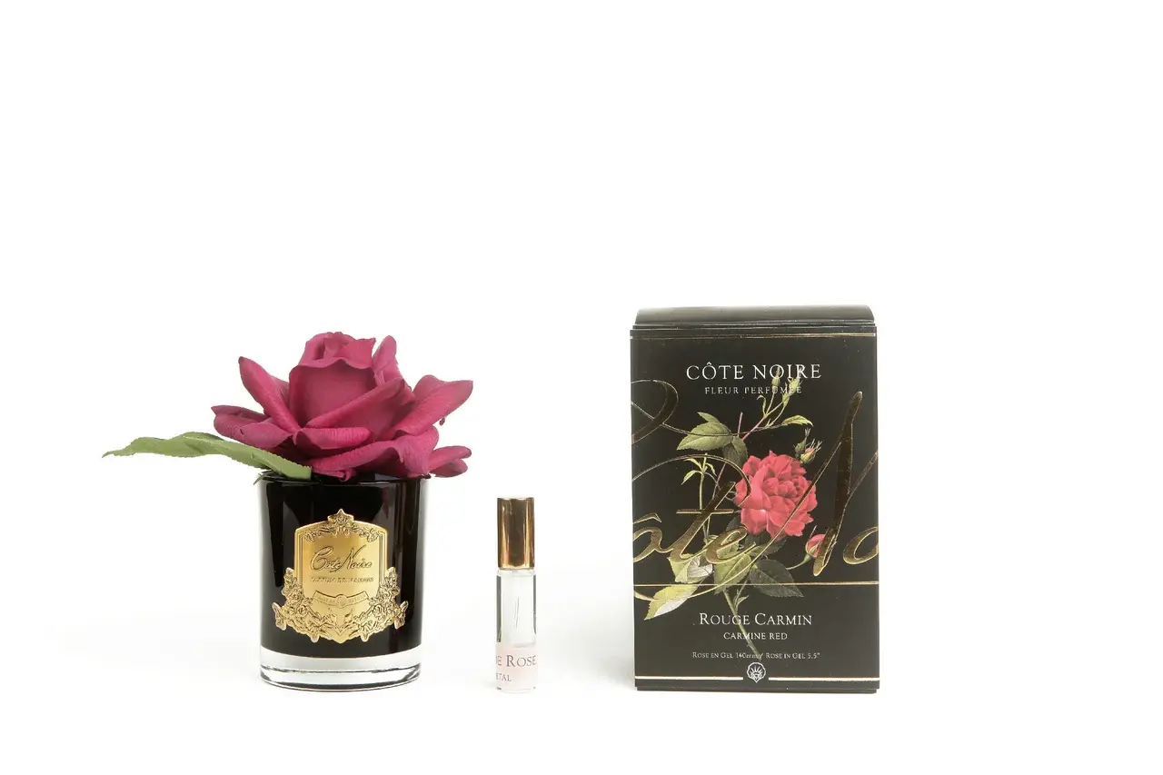 CÔTE NOIRE - Single French Rose - Black & Gold Crest - Carmine Red