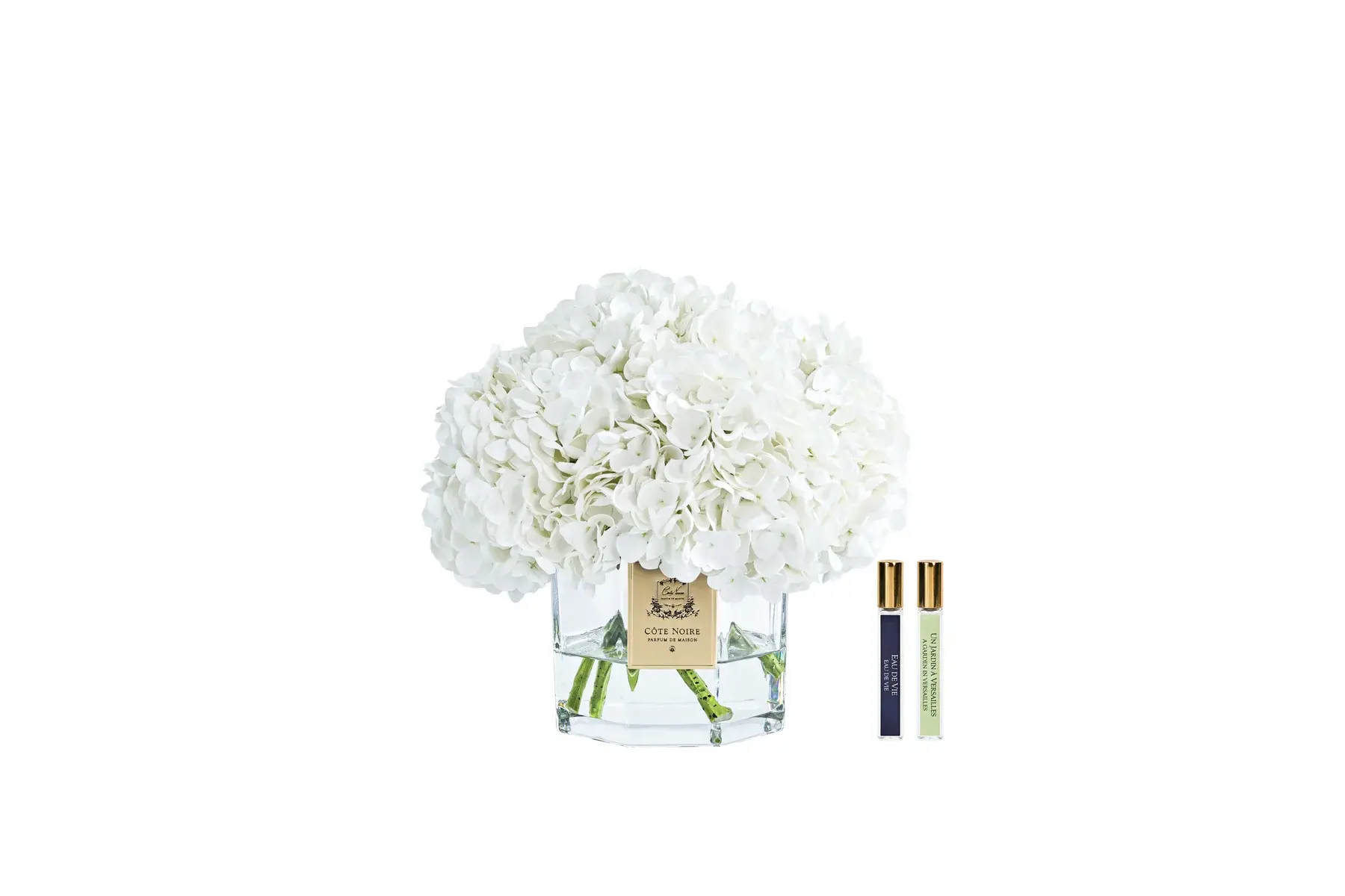 CÔTE NOIRE - Classic Hydrangea Bouquet - White
