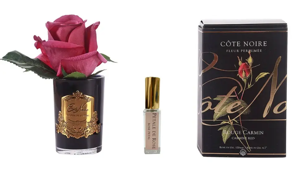 CÔTE NOIRE - Single Rose Bud - Black & Gold Crest - Carmine Red