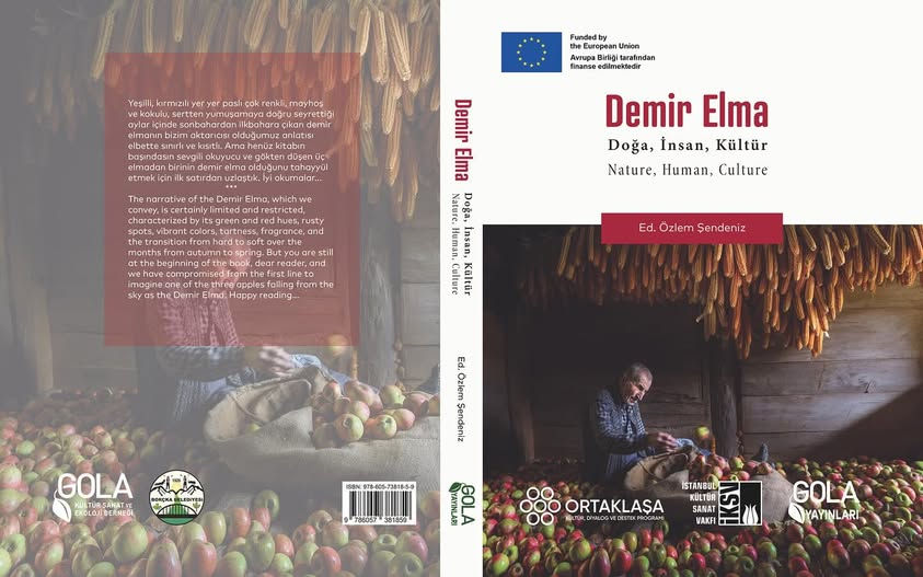 demir elma çift kapak