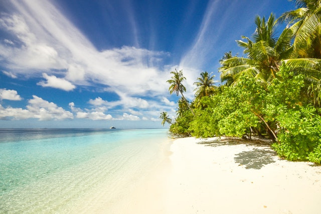 Beach landscape