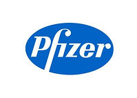 Pfizer takım çalışması, Pfizer team building