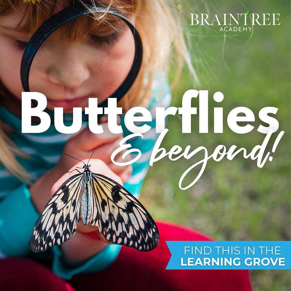 Young child outdoors closely examining a large butterfly resting on their hand while looking through a magnifying glass. White text overlay reads “Butterflies & beyond!” with the Braintree Academy logo in the top corner and a blue banner at the bottom reading “Find this in the Learning Grove.”