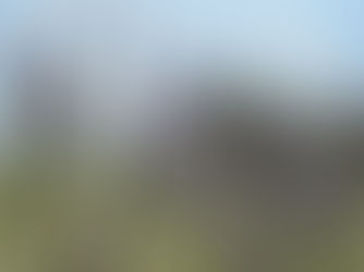New Study Insights on Cannabis and Terpenes
