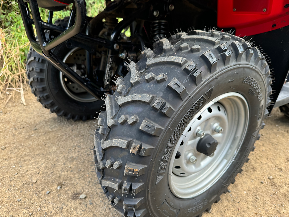 Thumbnail: 2017 Suzuki Ozark 250