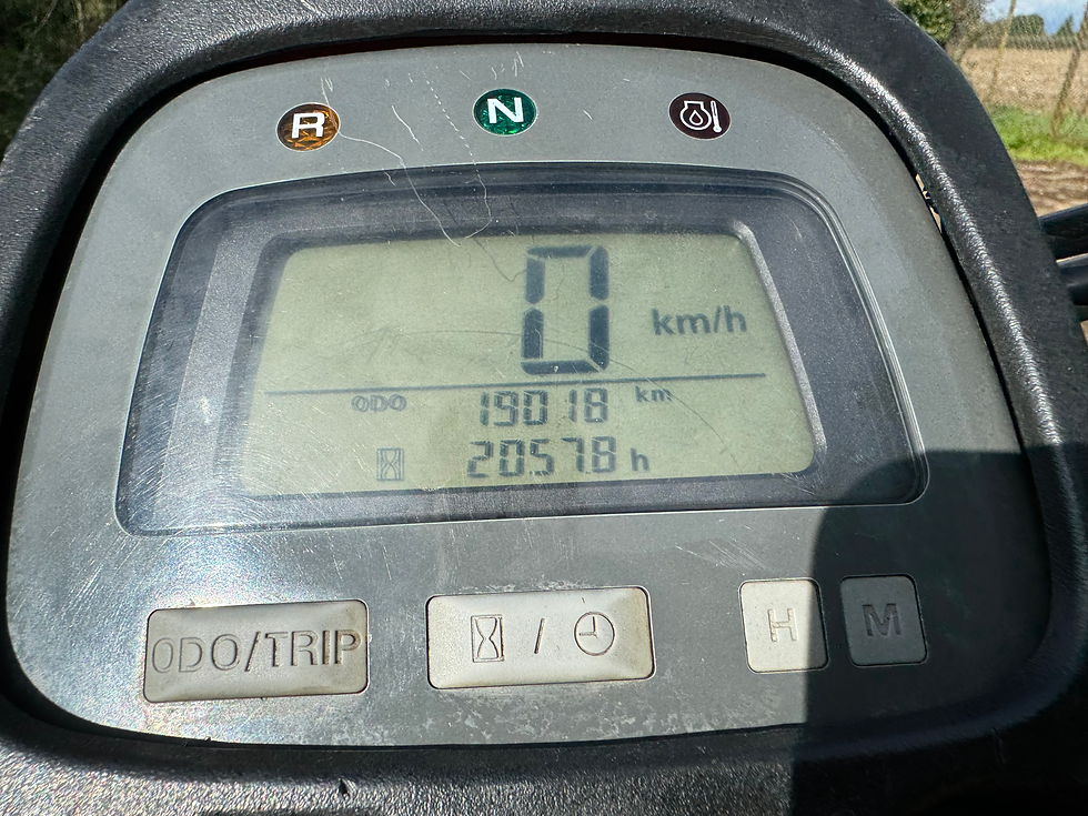 Thumbnail: 2010 Honda TRX 250