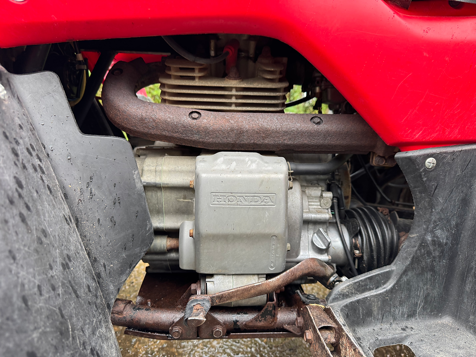 Thumbnail: 2004 Honda TRX 450