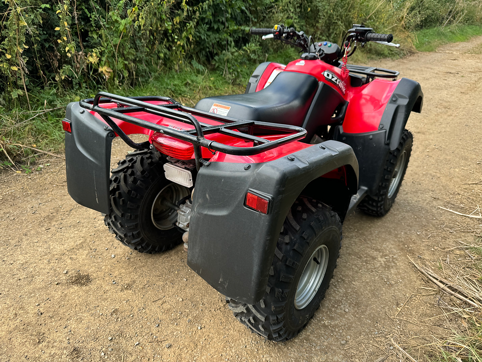 Thumbnail: 2017 Suzuki Ozark 250