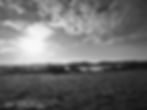 Winter walk through the fields