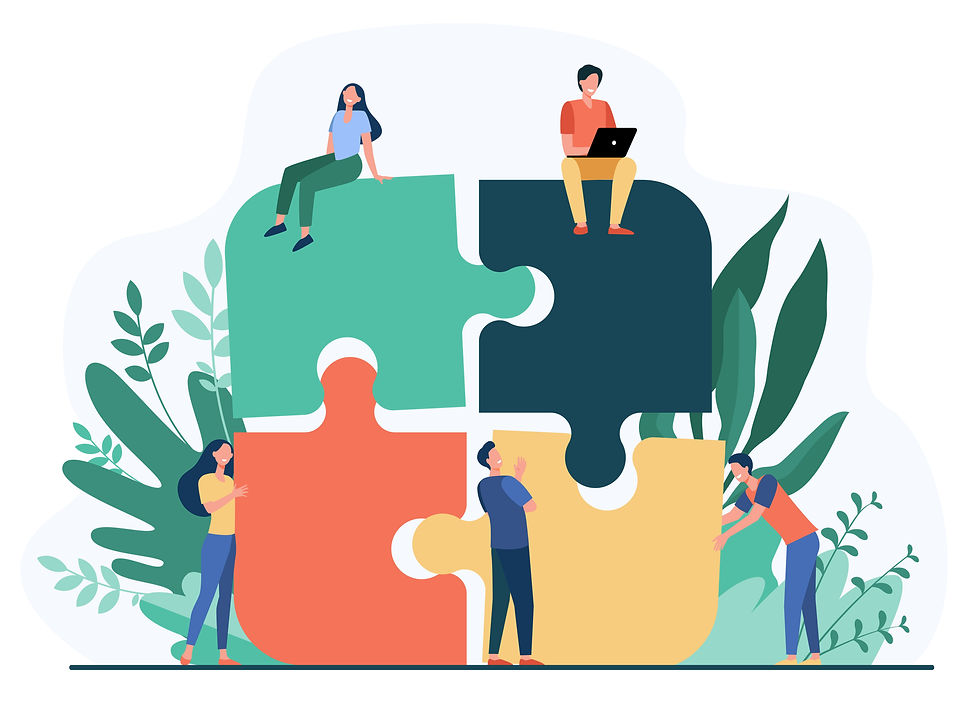 Roles de equipo