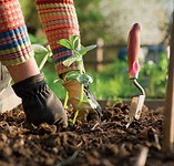 Gardening-1.jpg
