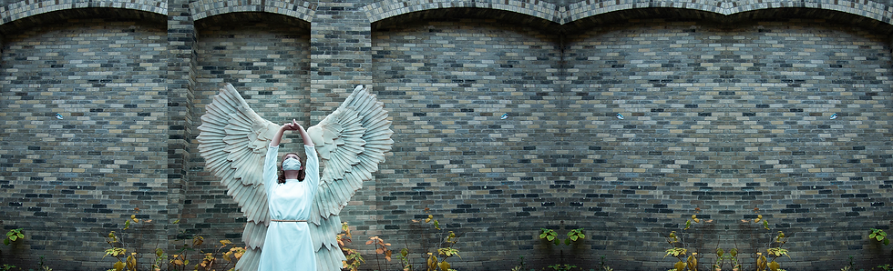 Film Angel - wide image.png