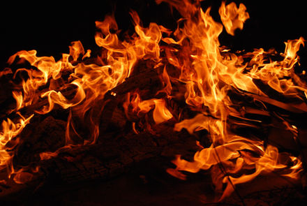 Out of the Ashes