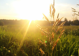 Elige vida, elige salud, elige felicidad