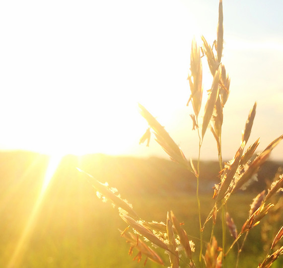 lever du soleil