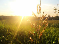 amanecer
