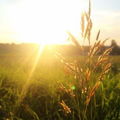 2025: The Year of the Lord's Power and the Yielded Servant
