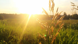 Ein neuer Tag beginnt