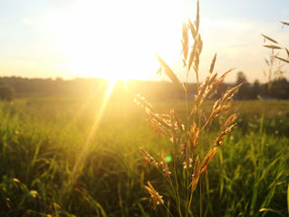 Happy Summer Solstice!