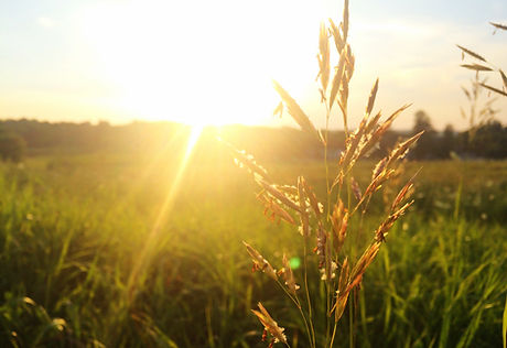 Sonnenaufgang