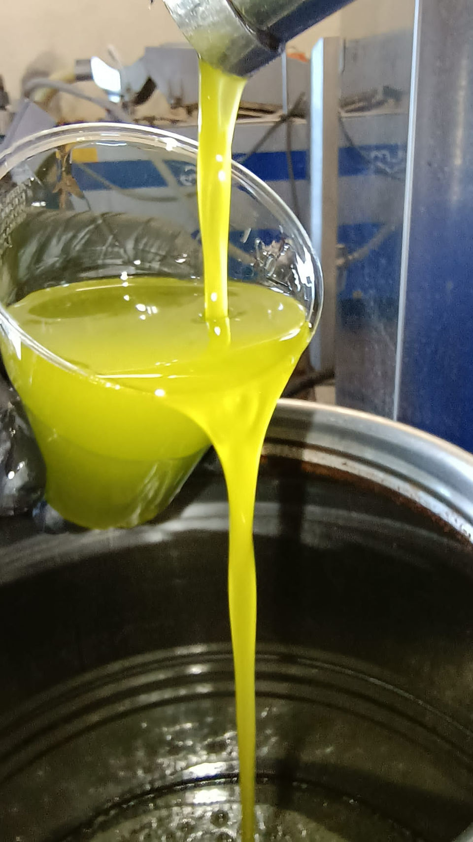 Olive oil mill at La Sovana producing traditional Tuscan extra virgin olive oil