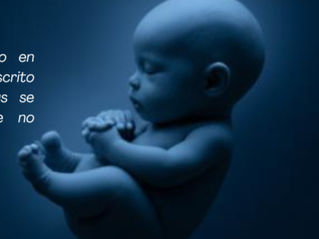 EL ABORTO, una salida humana.