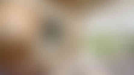 Minneapolis Home Builder Witt Design Build Remodel Residential Construction Witt Construction