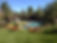 Turf LAWNS & LANDSCAPING by Blades of Tu