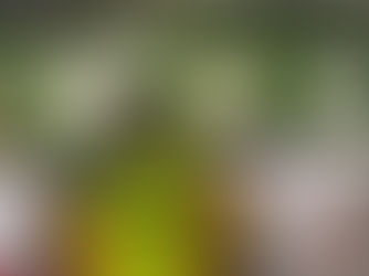 Prime General Contractors Employment Opportunity Superintendent/Carpenter