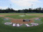 SYNTHETIC TURF BASEBALL SOLUTIONS by Bla