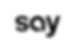 say