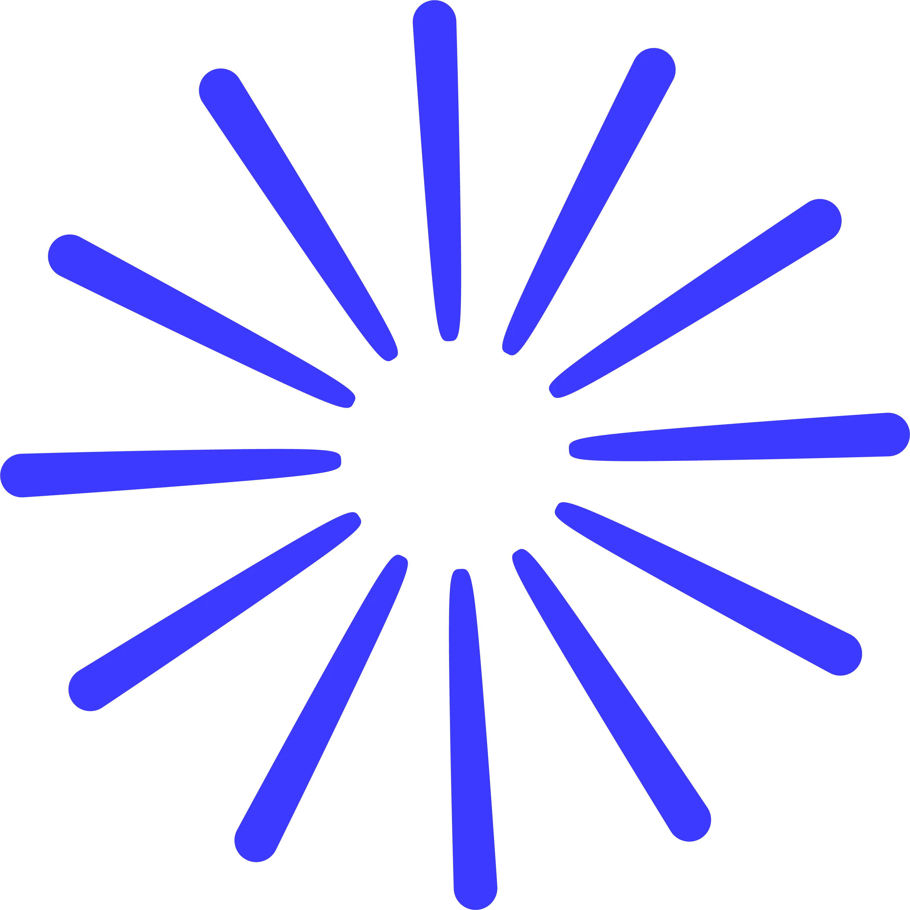 news.webp