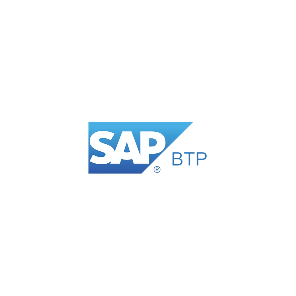 SAP BTP.png