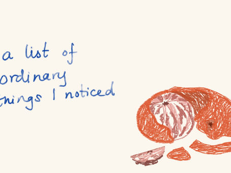 a list of ordinary things I noticed