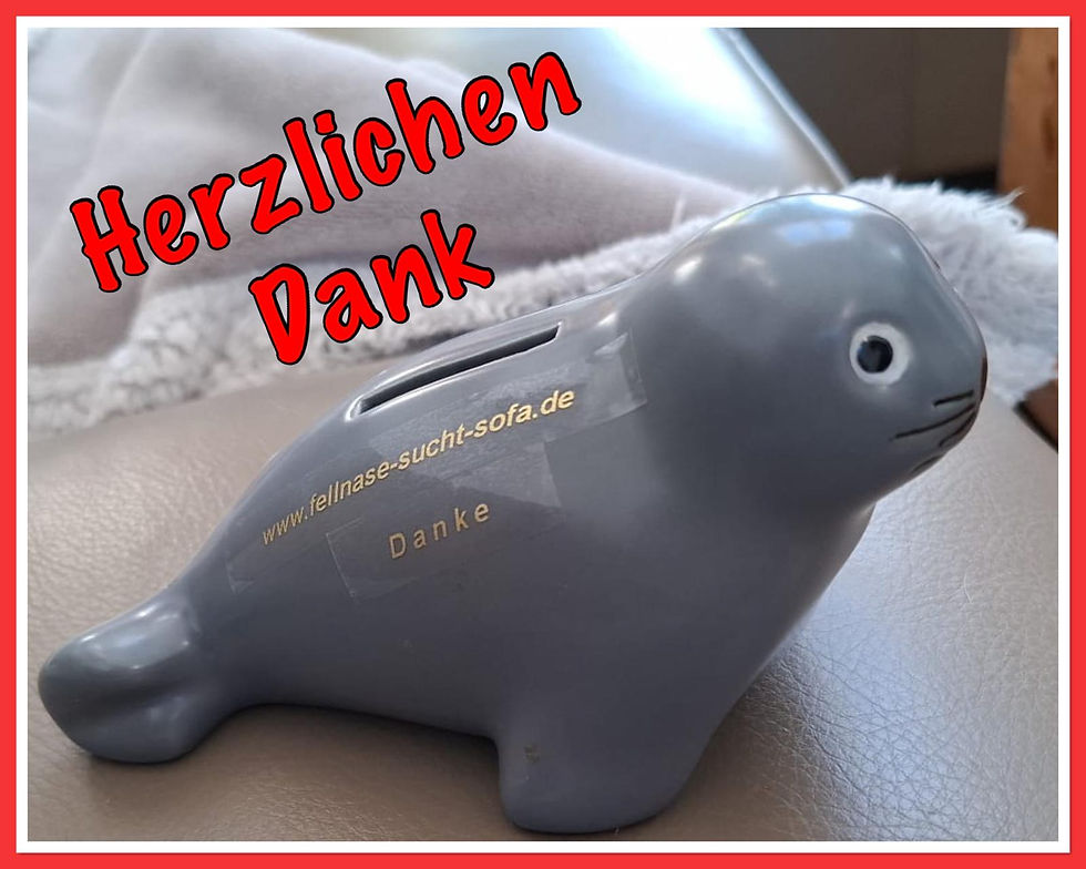 Ein herzliches Dankeschön geht an Jutta Oellers ❤️