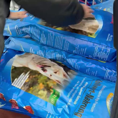 Welpenweihnacht 2025 🎄