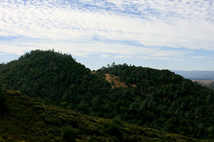 Dan Cook Canyon.jpg